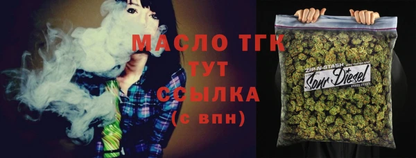 дмт Бородино