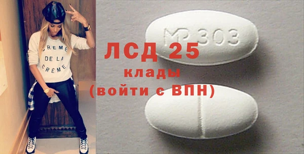 индика Бронницы