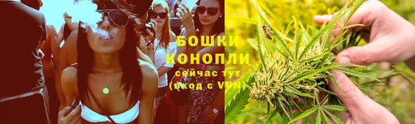 индика Бронницы