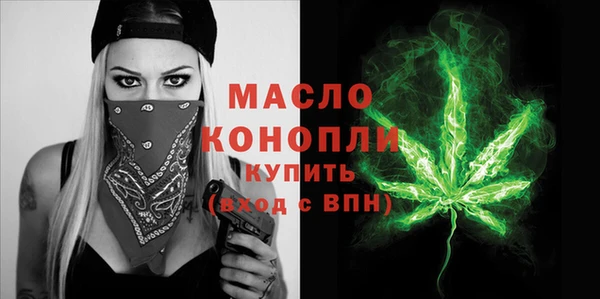 индика Бронницы