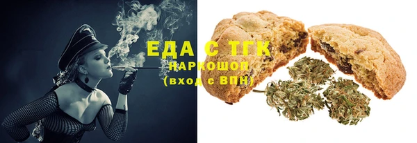 дмт Бородино
