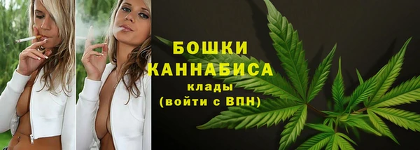 индика Бронницы