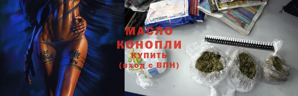 дмт Бородино