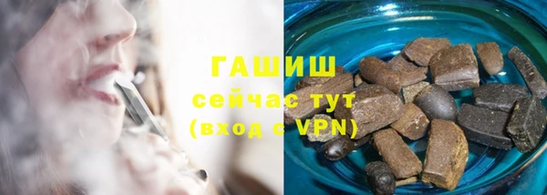 дмт Бородино