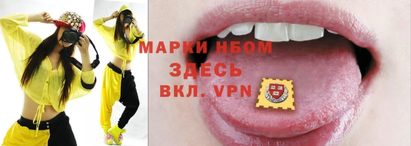 дмт Бородино