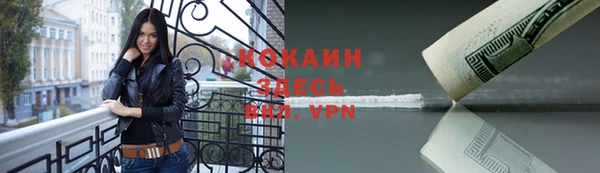 индика Бронницы