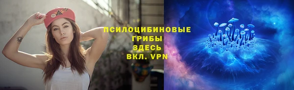 индика Бронницы