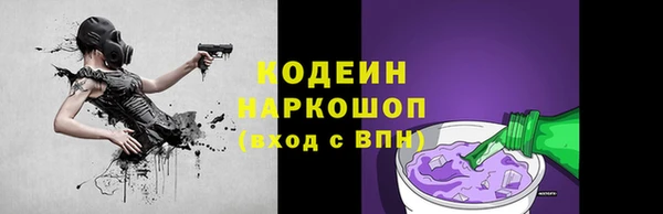 индика Бронницы