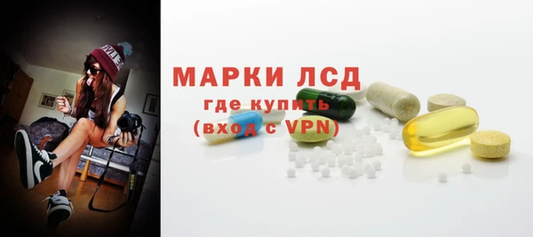 дмт Бородино