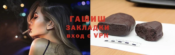 дмт Бородино