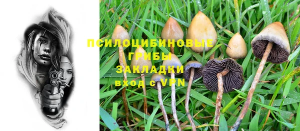 мяу мяу мука Бугульма