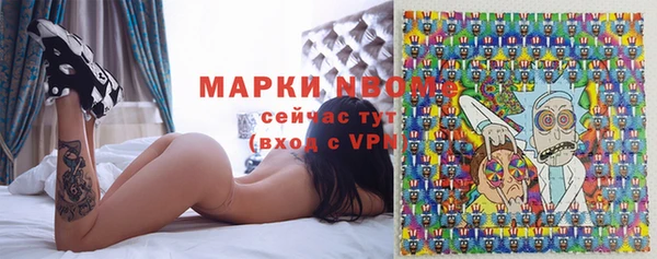 дмт Бородино