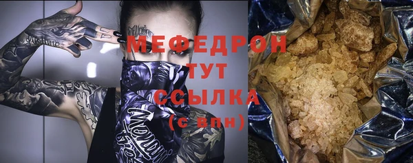 индика Бронницы