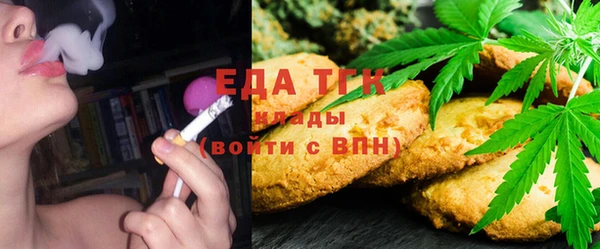индика Бронницы