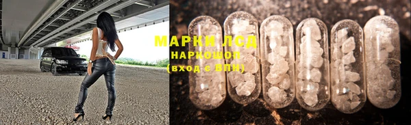индика Бронницы
