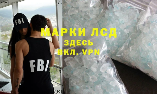 дмт Бородино