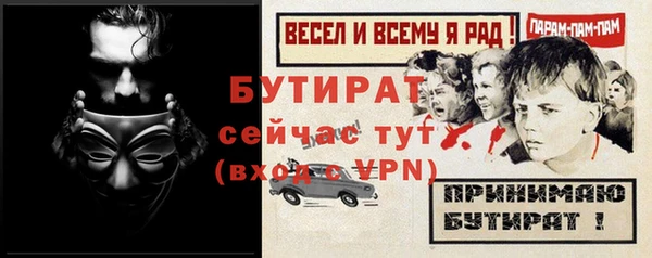 дмт Бородино