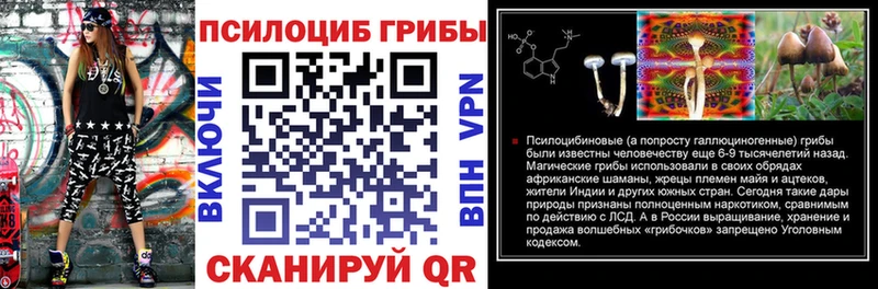 Псилоцибиновые грибы MAGIC MUSHROOMS  даркнет Telegram  Луховицы 
